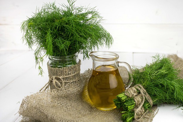 Dill Oil | Best Natural Antifungal Remedies For Skin Fungus | yeasts