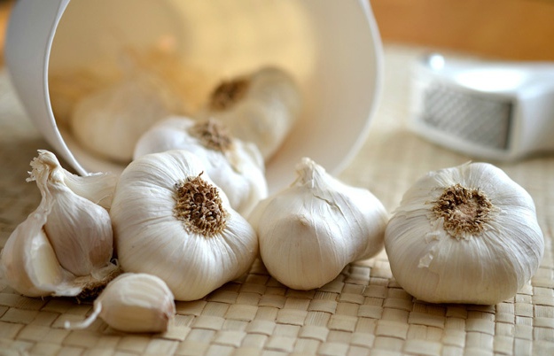 Garlic | Best Natural Antifungal Remedies For Skin Fungus | skin fungus
