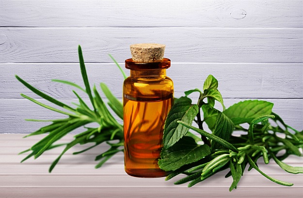 Tea Tree Oil | Best Essential Oils For Eczema Treatment | essential oils for eczema