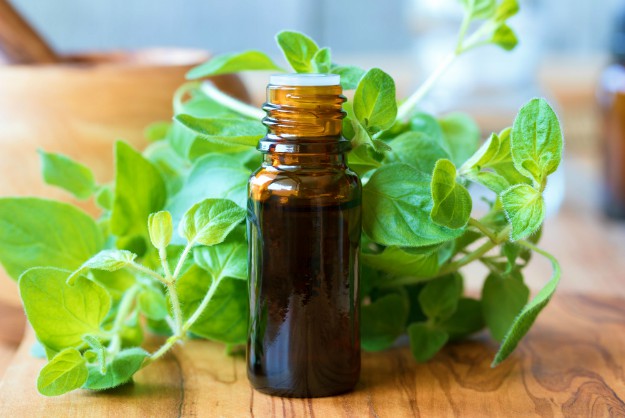 Oregano Essential Oil | Natural Remedies For Yeast Infection | relieve itching from yeast infection