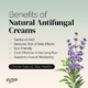 Benefits of Natural antifungal Creams