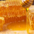 honey antifungal