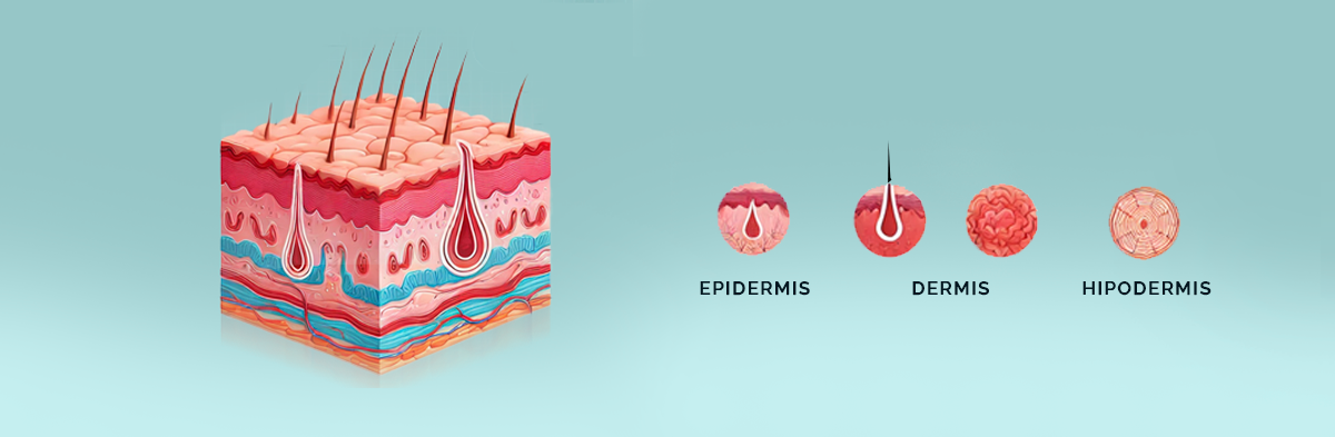 Should You Cover Eczema or Let It Breathe_dermis